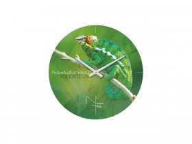 Часы настенные Nicole Time NT503 в Новолуговом - novolugovoe.mebel-nsk.ru | фото